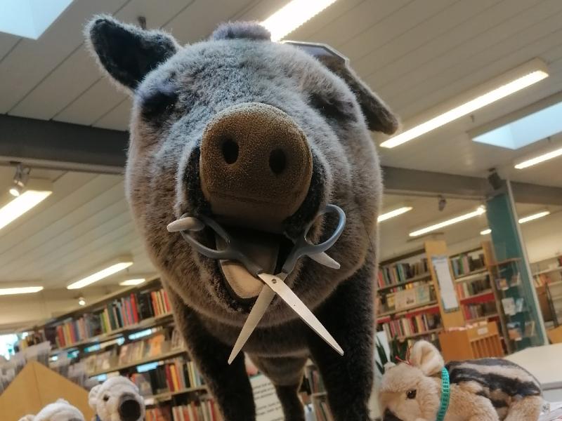 Tarup Biblioteks maskot - Vildsvinet Willy