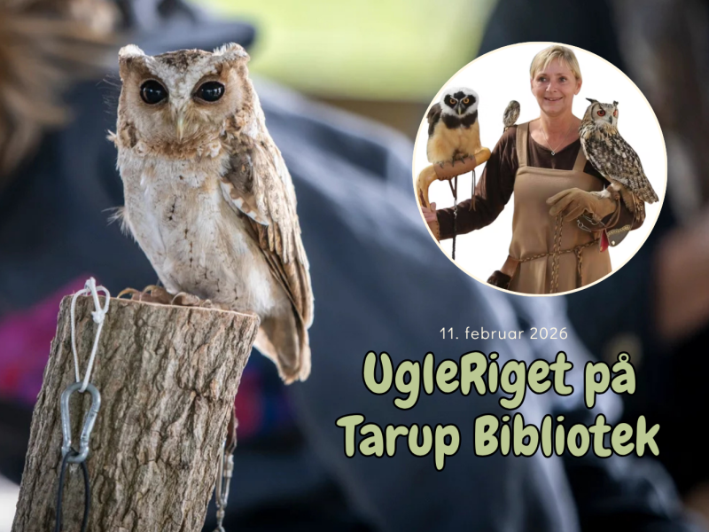 UgleRiget på Tarup Bibliotek